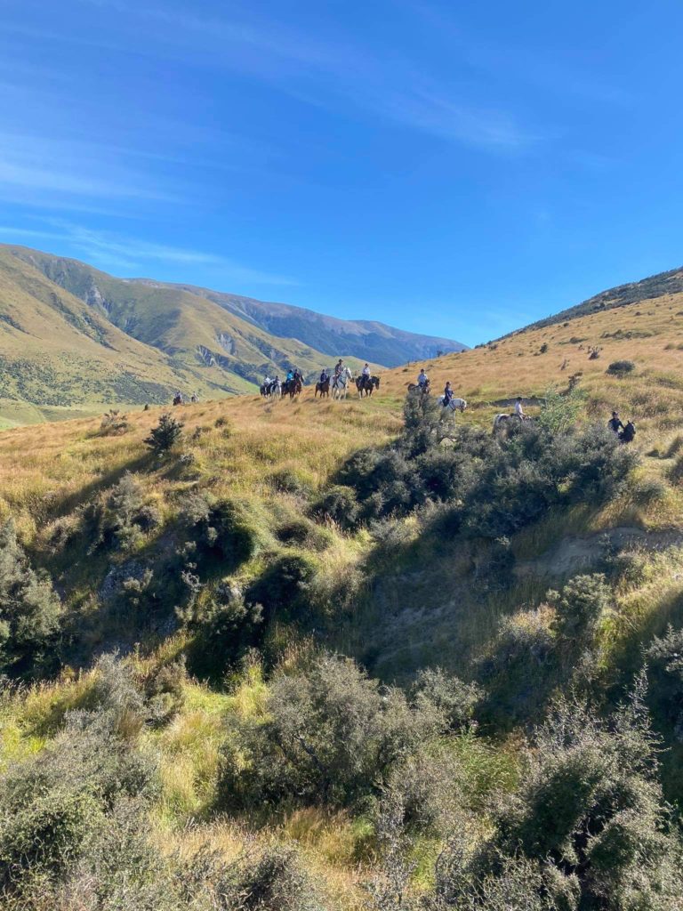 shearers quarters quartz hill station accommodation farm stay selwyn lake coleridge