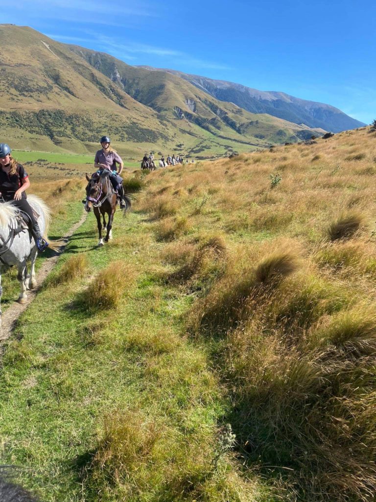 shearers quarters quartz hill station accommodation farm stay selwyn lake coleridge
