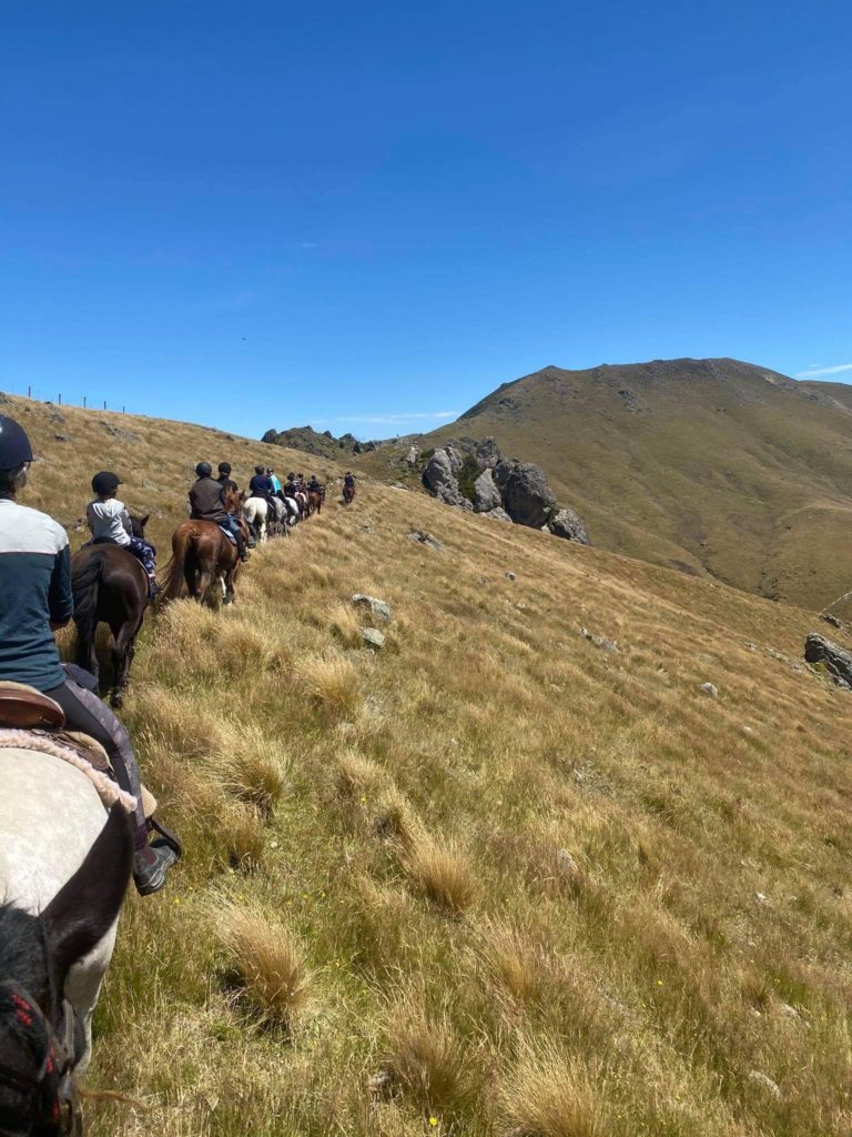 shearers quarters quartz hill station accommodation farm stay selwyn lake coleridge